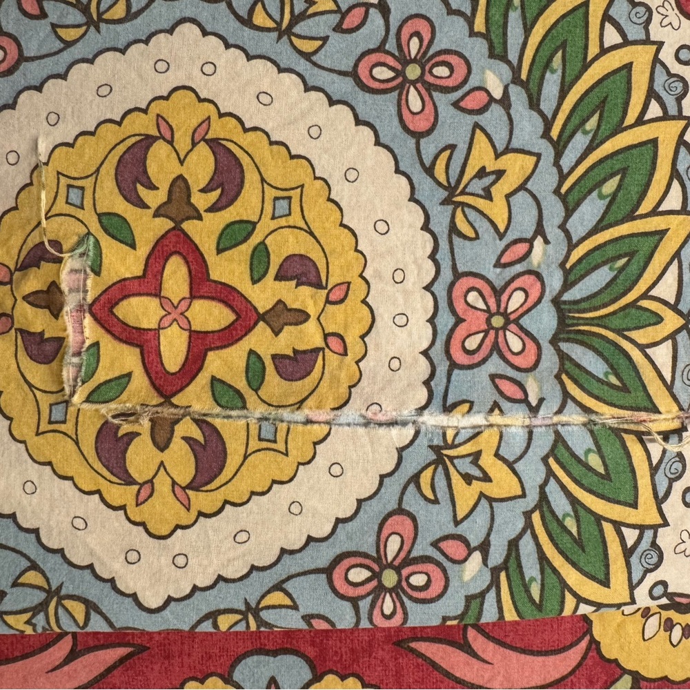 Pottery Barn Kibg Duvet and king shams - Picture 7 of 9